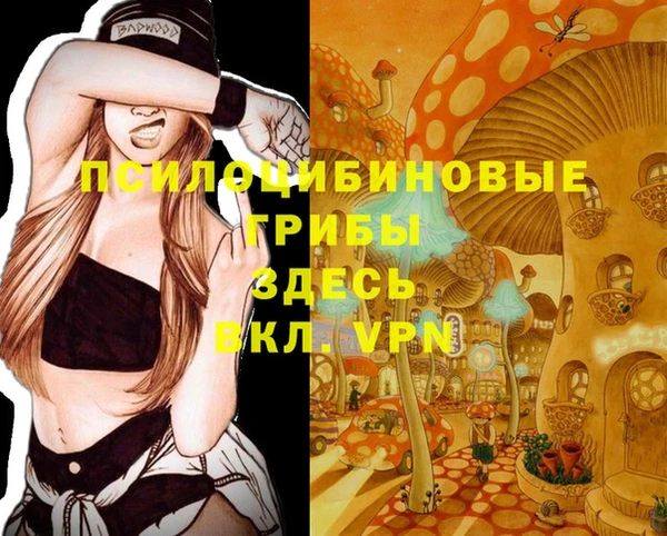 ALPHA-PVP Алексеевка