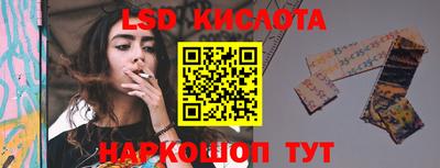 стаф Дмитров