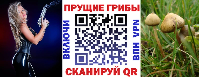 Псилоцибиновые грибы прущие грибы Находка