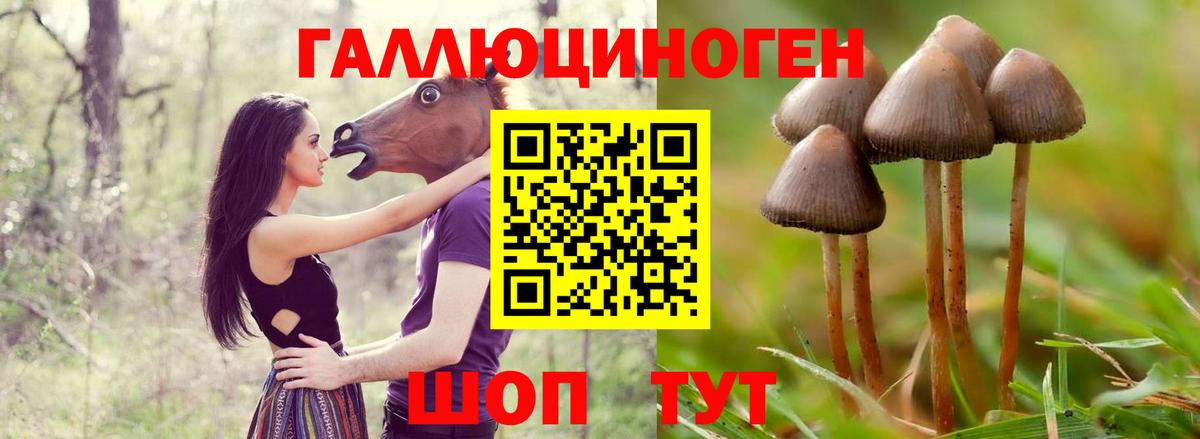 Находка  Галлюциногенные грибы Magic Shrooms  купить   Вход с VPN  Псилоцибиновые грибы мицелий 