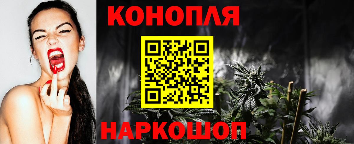 Канабис White Widow  Вход с VPN  Марихуана семена  Находка  Конопля гибрид 